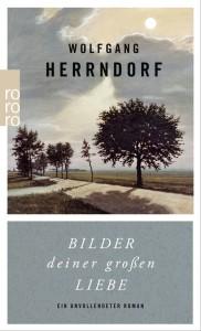 Bilder-deiner-großen-Liebe-Ein-unvollendeter-Roman-Wolfgang-Herrndorf-rororo-Cover