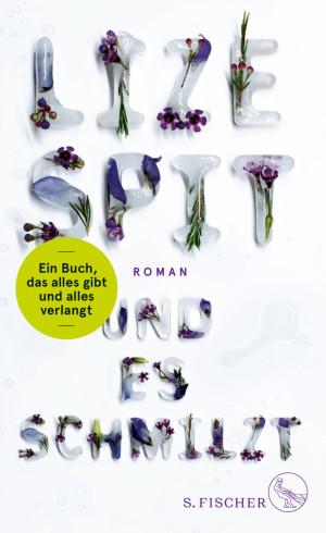 Und es schmilzt Lize Spit Cover S. Fischer Verlag